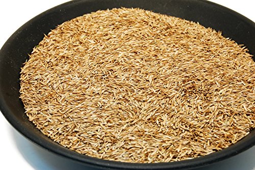Kentucky 31 K31 Tall Fescue Grass Seed by Eretz – Choose Size! State Certified, No fillers, No Weed or Other Crop Seeds (3lbs) - Image 12