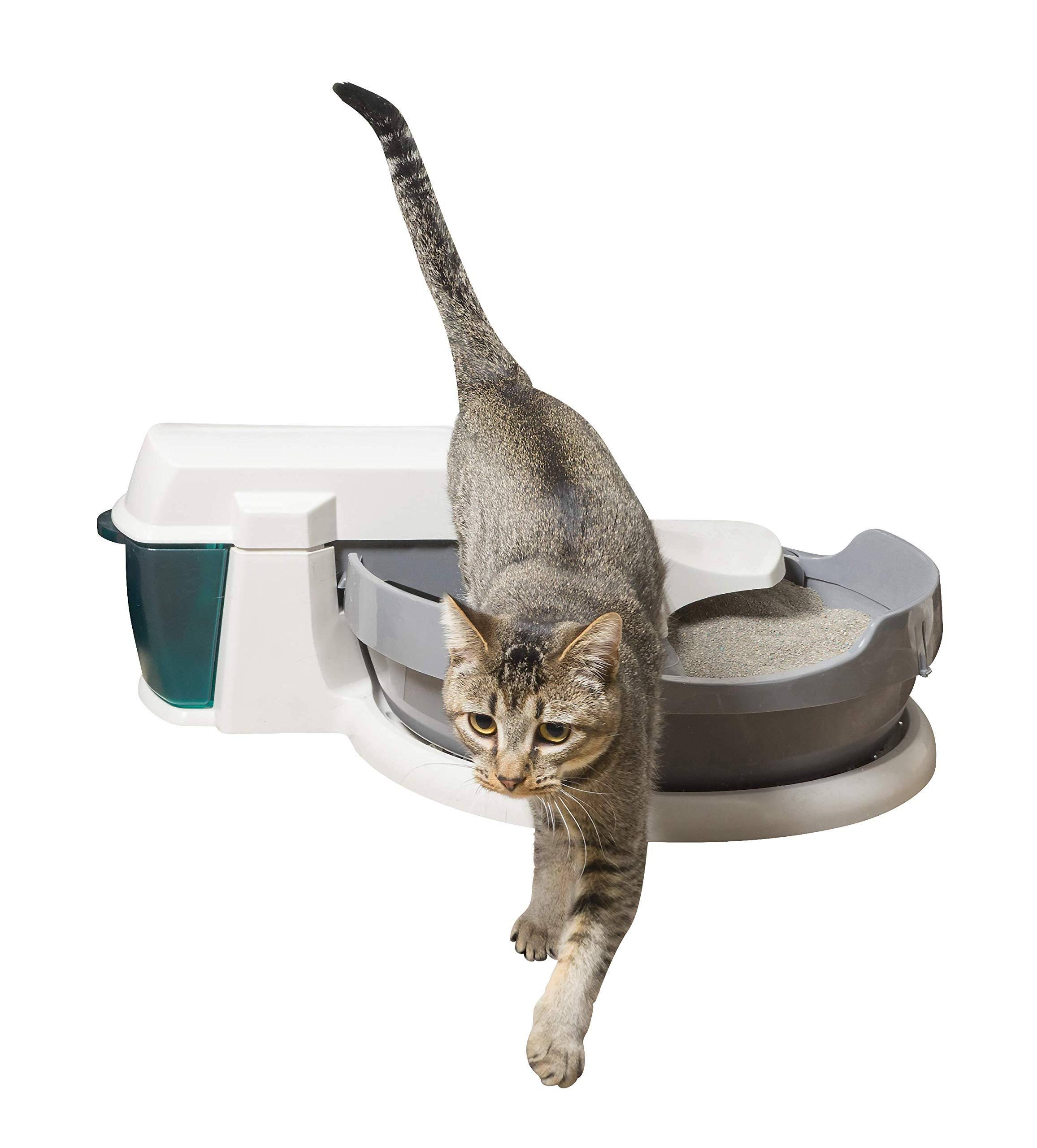 PetSafe Simply Clean Automatic Litter Box - Image 2