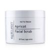 Apricot Facial Scrub – for All Skin Types Except Acneic u0026 Rosacea (Salon Size) 8oz