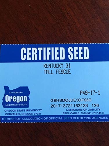 Kentucky 31 K31 Tall Fescue Grass Seed by Eretz – Choose Size! State Certified, No fillers, No Weed or Other Crop Seeds (3lbs) - Image 10