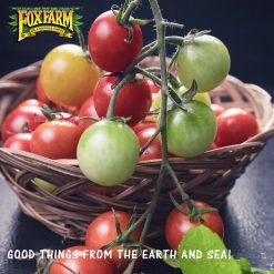 Alternative view of Fox Farm Ocean Forest Potting Soil Organic Plant Fertilizer for Garden Plants Indoor and Outdoor – Plant Soil – 38.5 Quart (1.5 cu ft). – (Bundled with Pearsons Protective Gloves) (4 Pack)